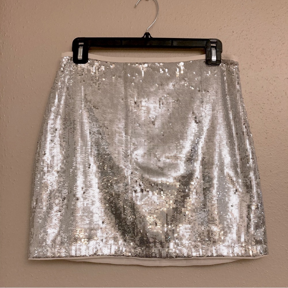 Midnight Lover Sequin Mini Skirt Silver